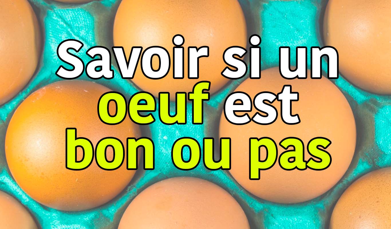 Comment Savoir Si Un Oeuf Est Bon Ou Pas MEF