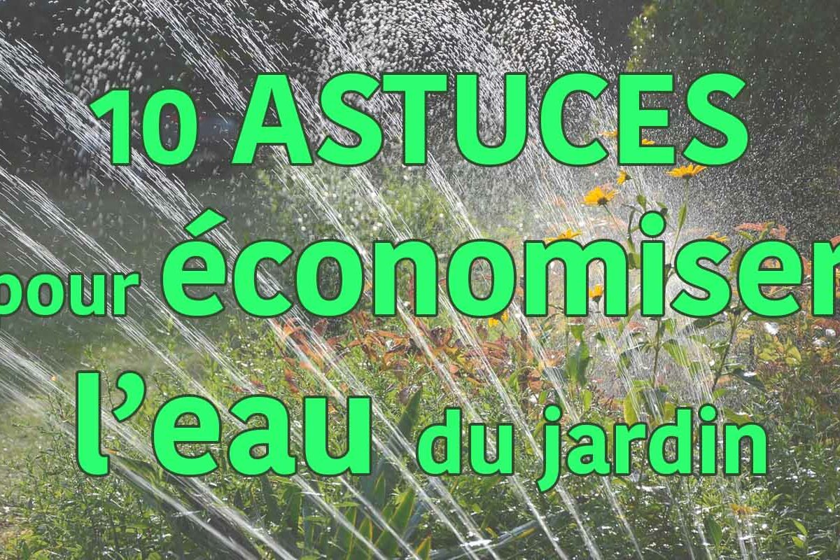 économiser l'eau au jardin