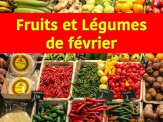 fruits et légumes du mois de février de saison