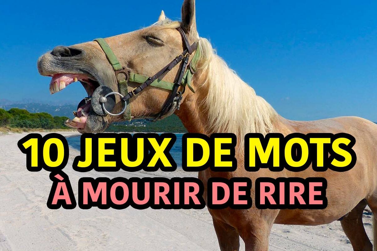 jeux de mots à mourir de rire