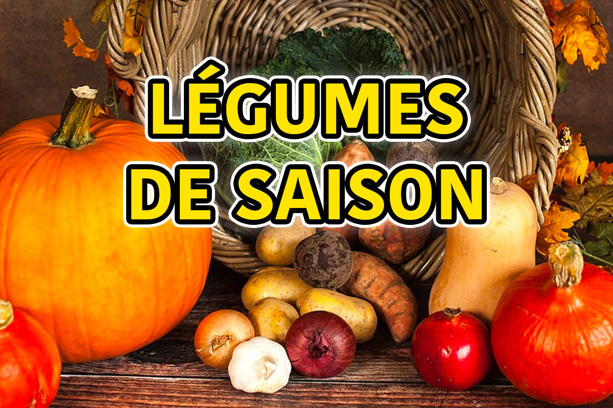 les légumes de saison