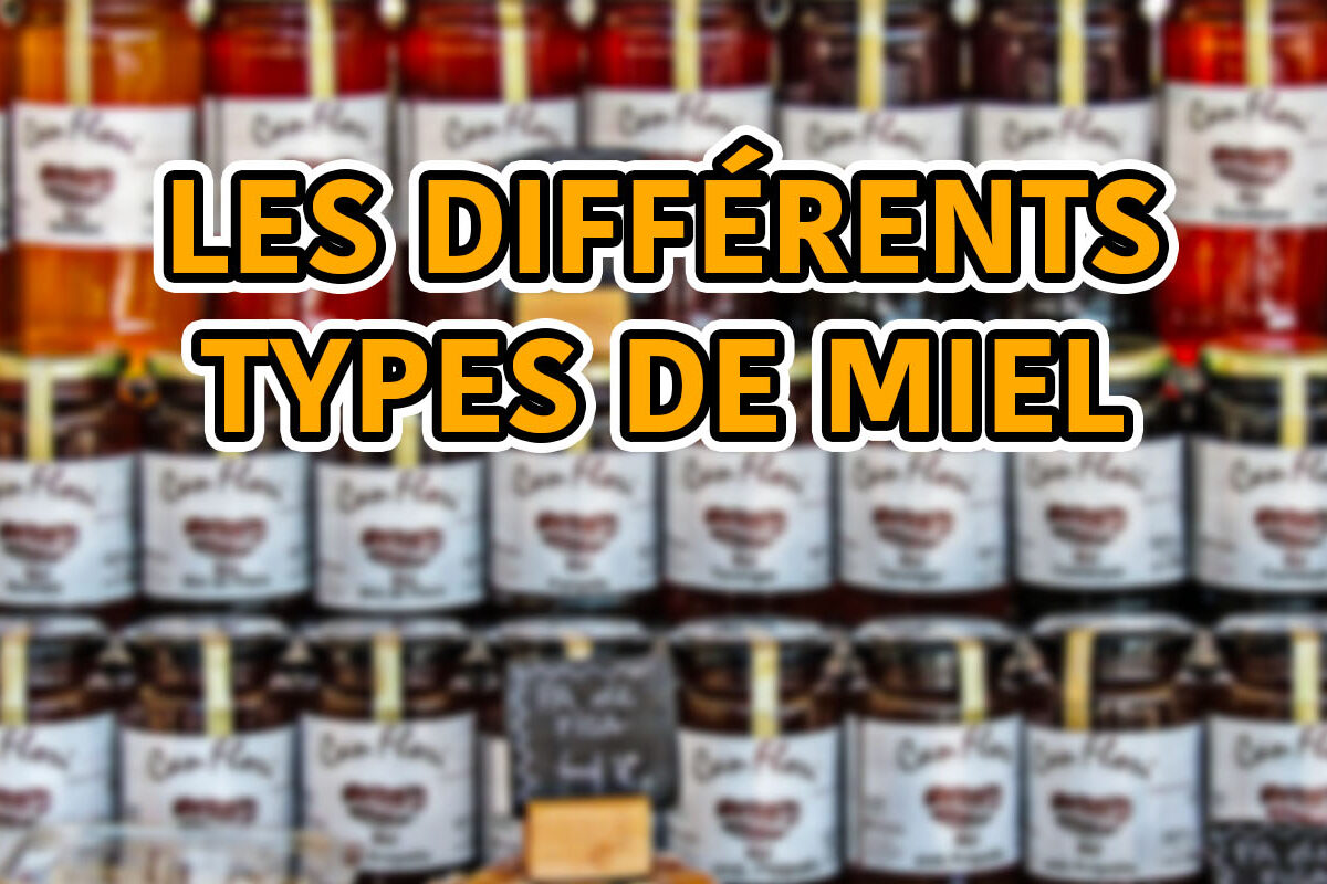 les différents types de miel