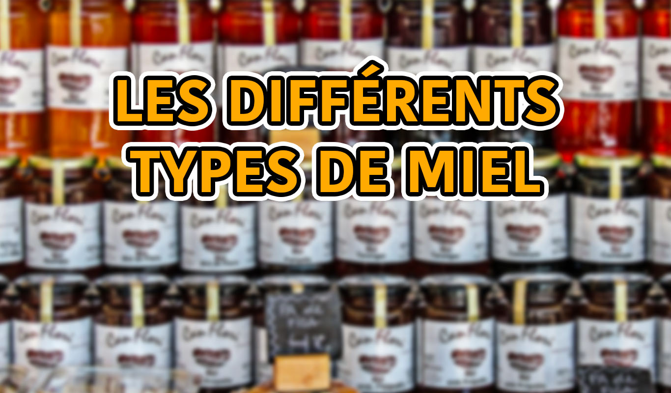 Les différentes variétés de miel et leurs bienfaits - La Fourche