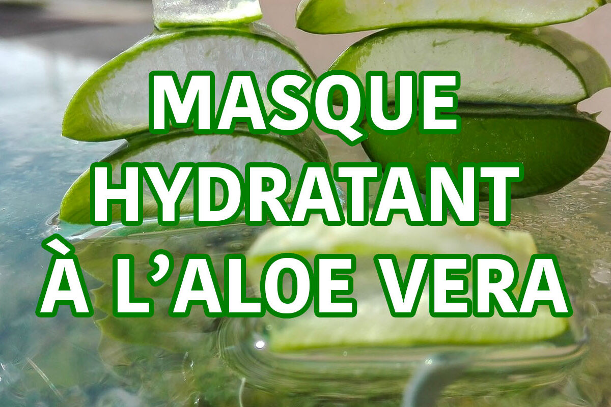 masque visage hydratant à l'aloe vera