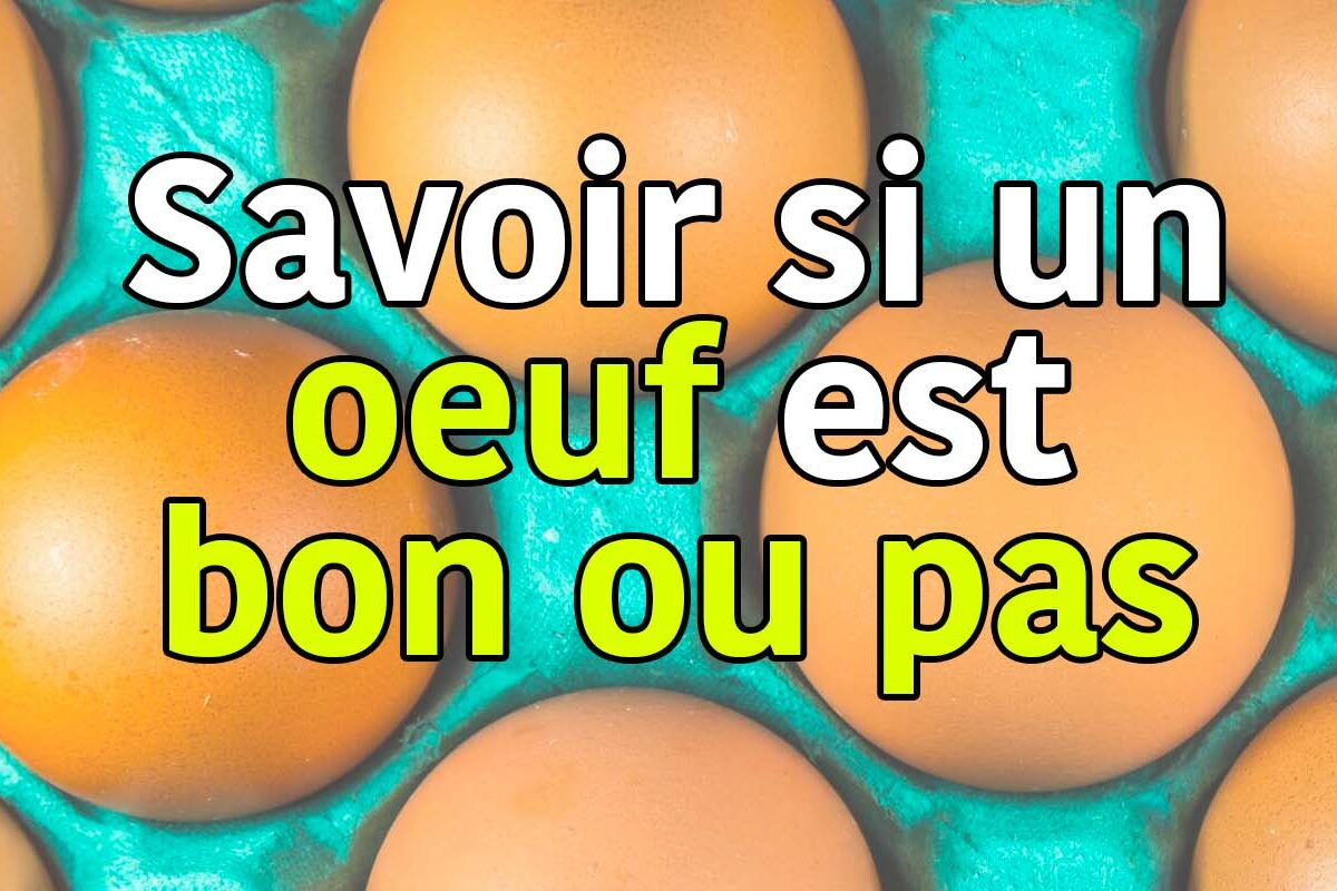 oeuf bon ou pas
