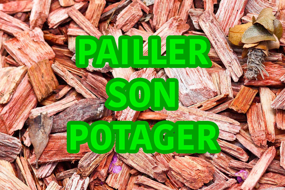 pailler son jardin et paillage pour potager avec paillis