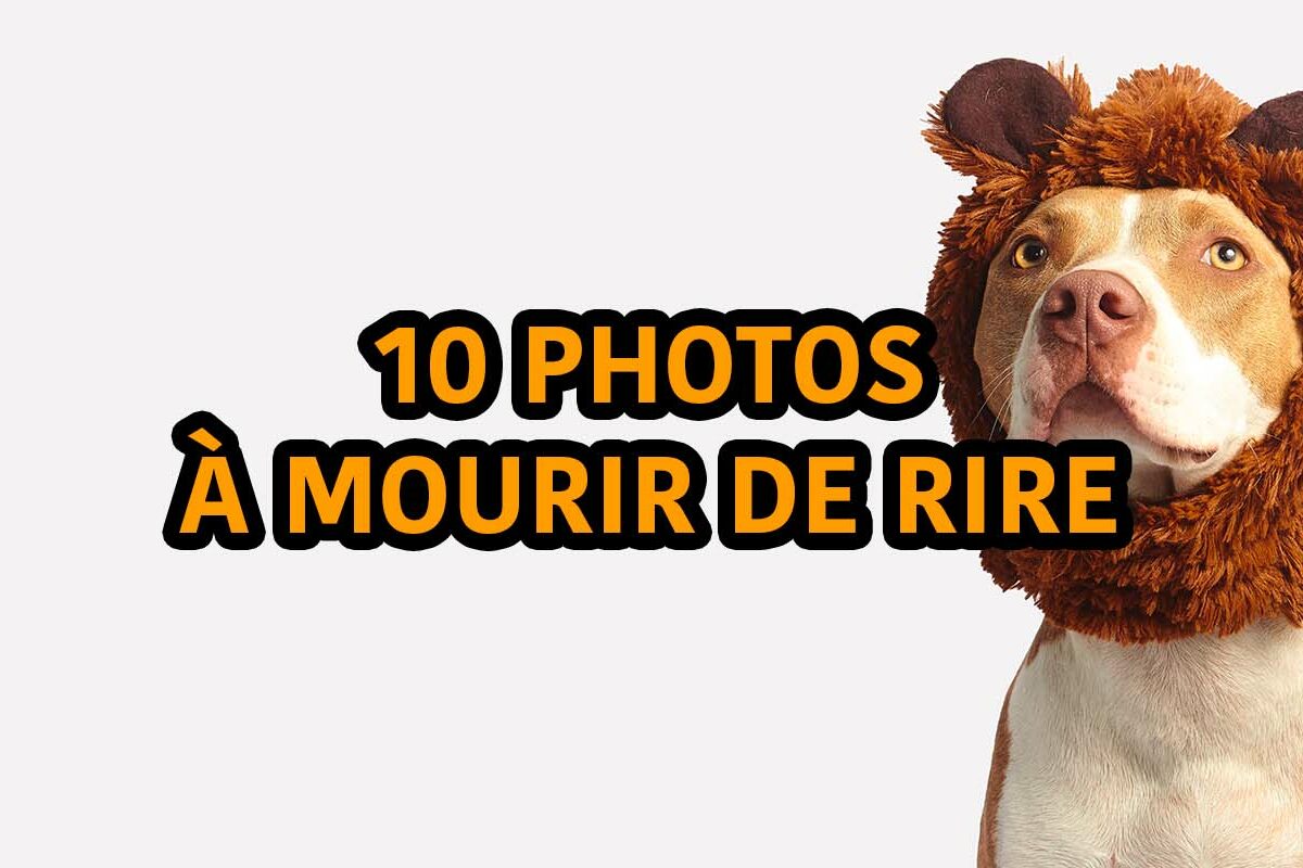 10 photos à mourir de rire