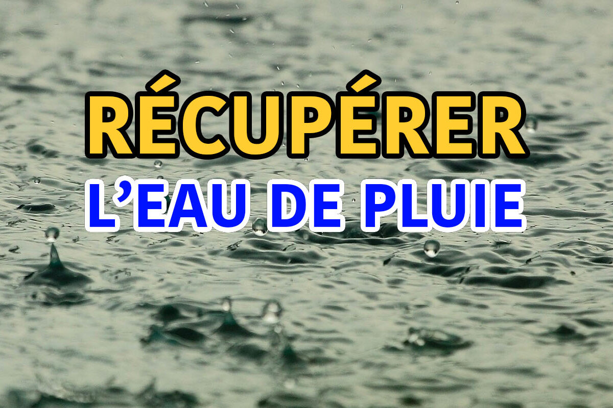 récupérer l'eau de pluie