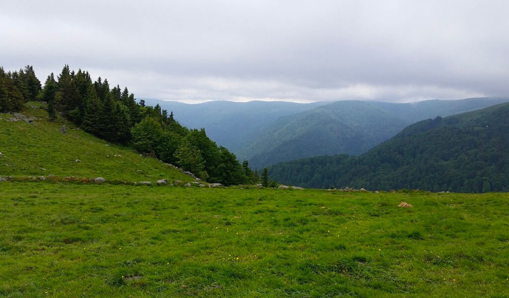 Les vosges, une des destinations pour l'été