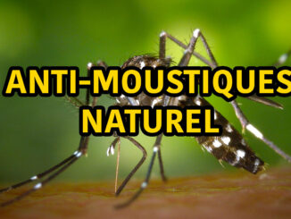 Anti-moustiques naturel : Pièges et remèdes