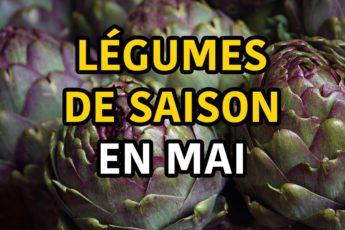 légumes de saison de mai