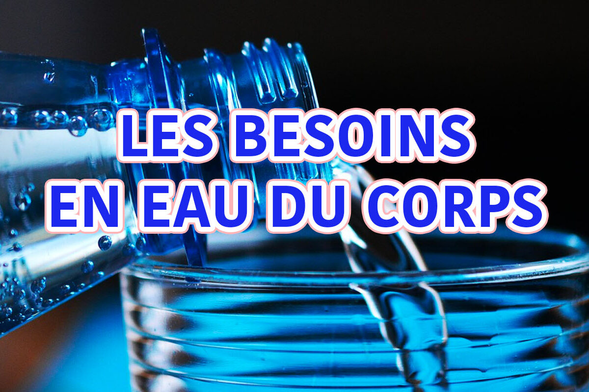 les besoins en eau du corps