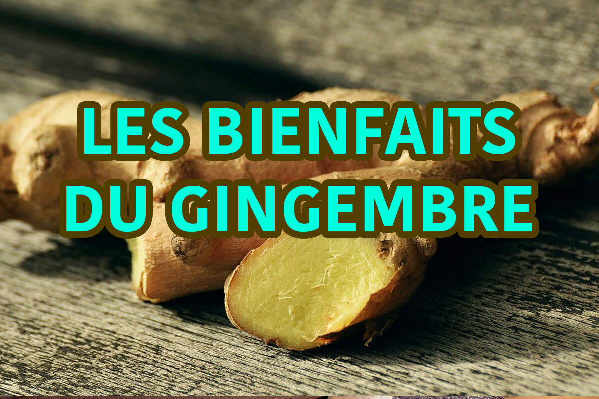 les bienfaits du gingembre