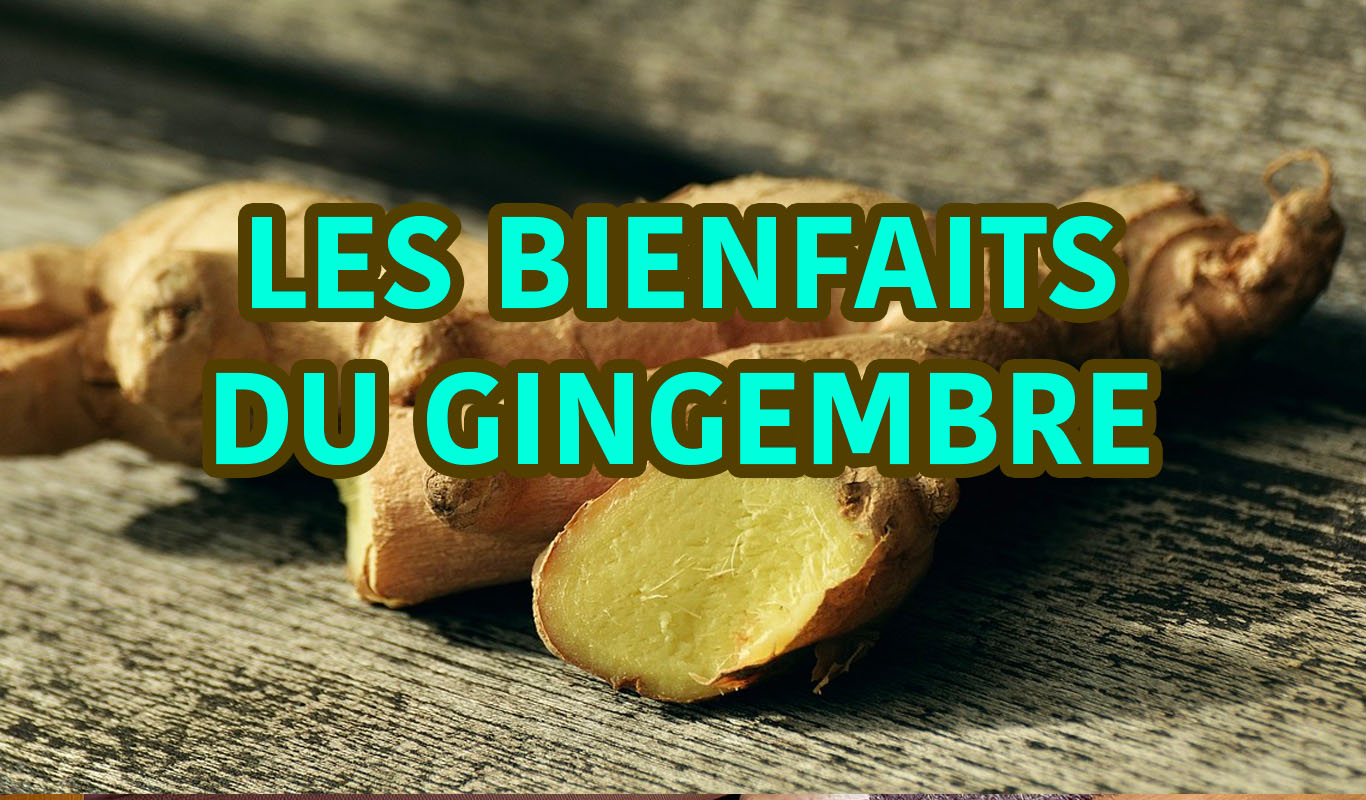 Les bienfaits du gingembre