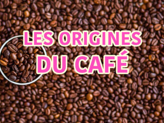les origines du café