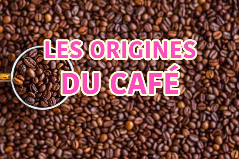 les origines du café