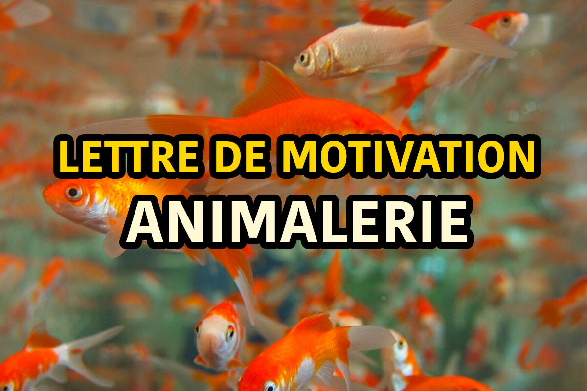 lettre de motivation animalerie