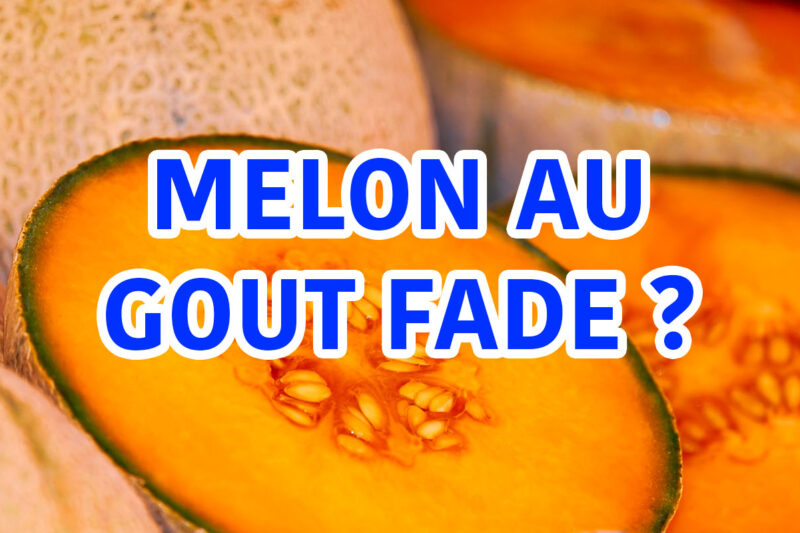 melon au gout fade astuces