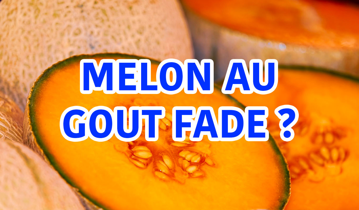 Melon au goût fade ? L'astuce pour lui donner du peps