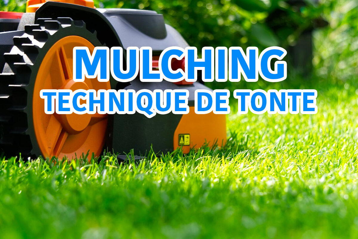 mulching technique de tonte