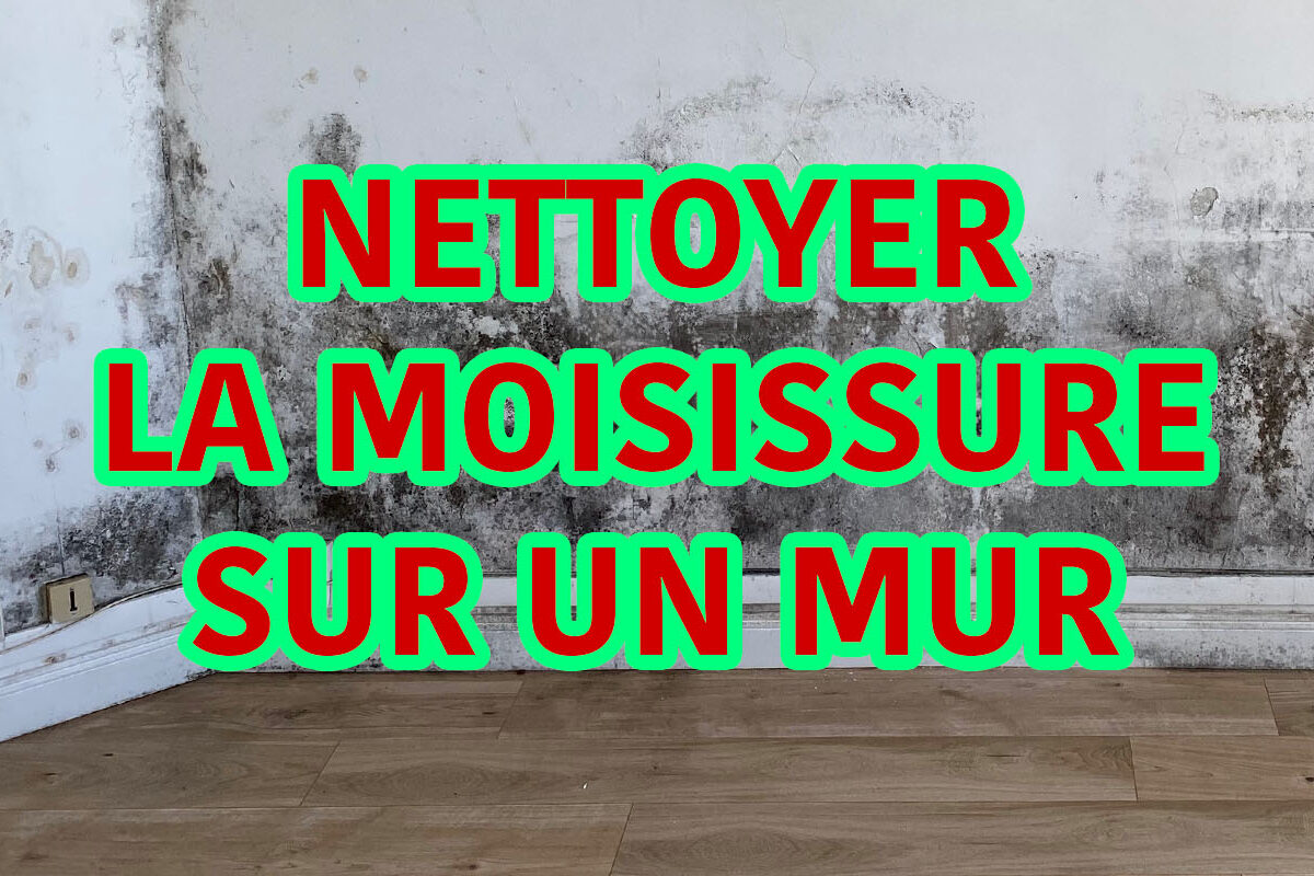 nettoyer la moisissure sur un mur