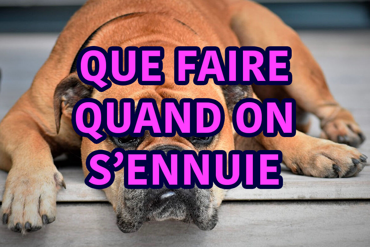 que faire quand on s'ennuie ?
