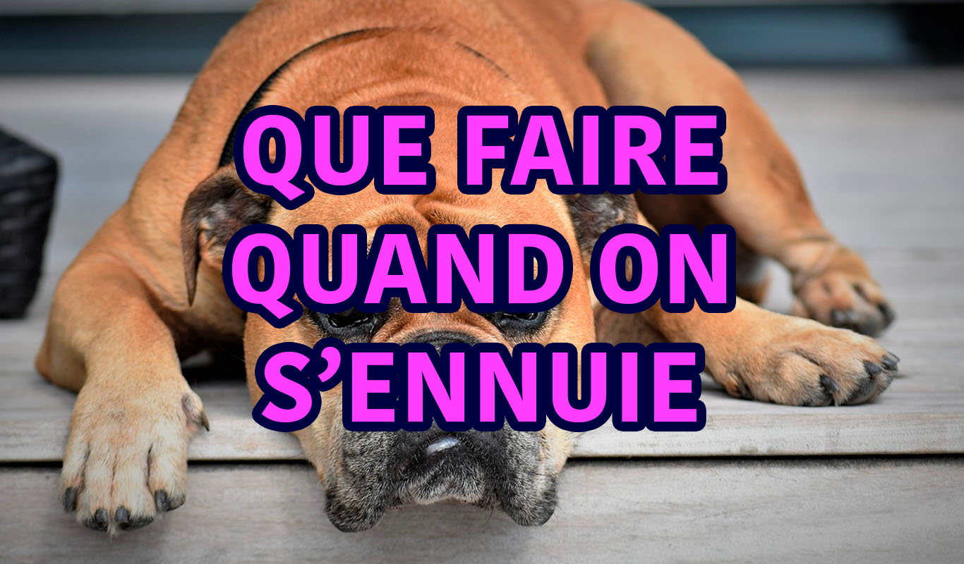 Que faire quand on s