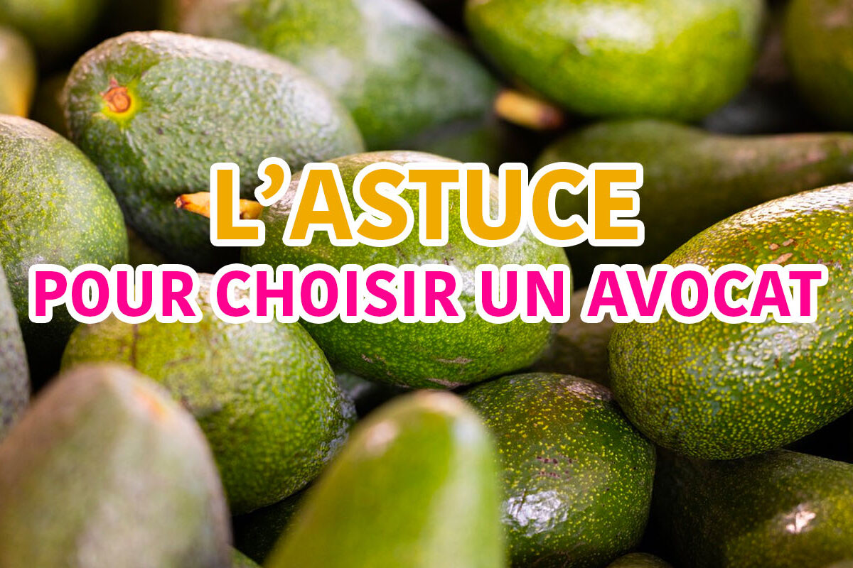 astuce pour choisir un avocat