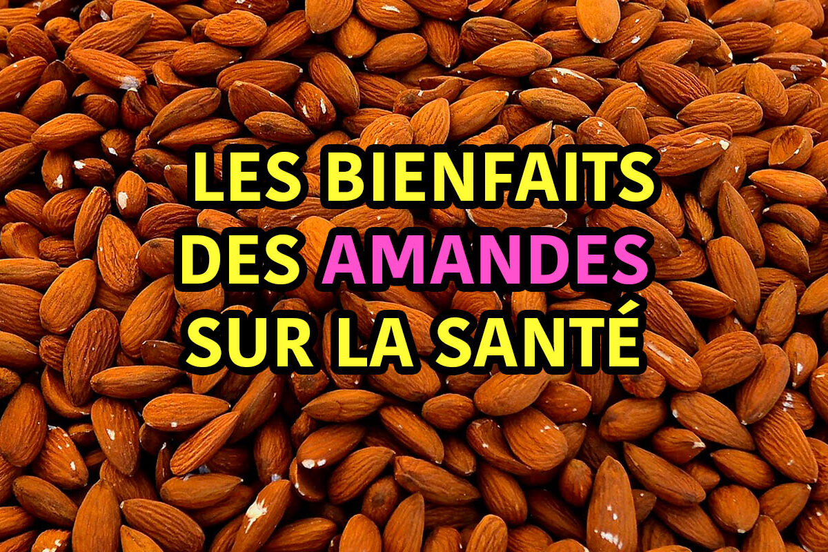 les bienfaits des amandes pour la santé