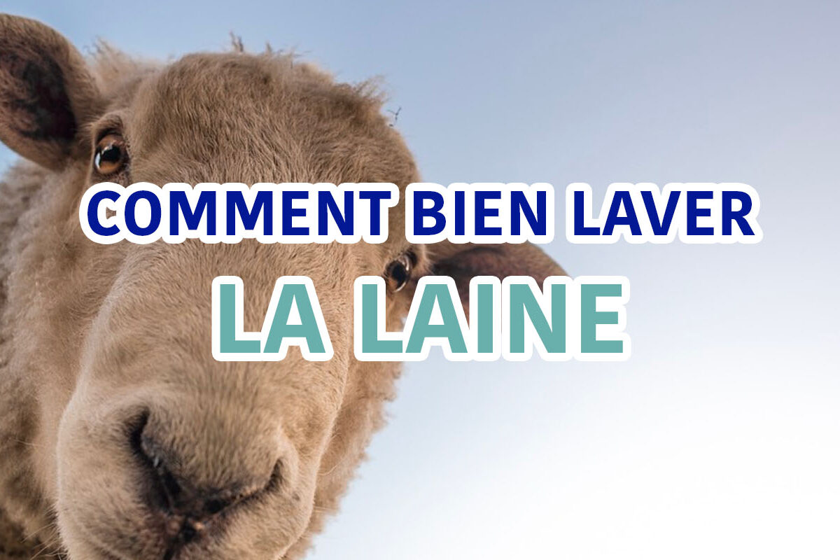 comment bien laver la laine