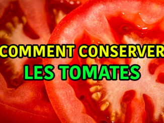 comment conserver les tomates