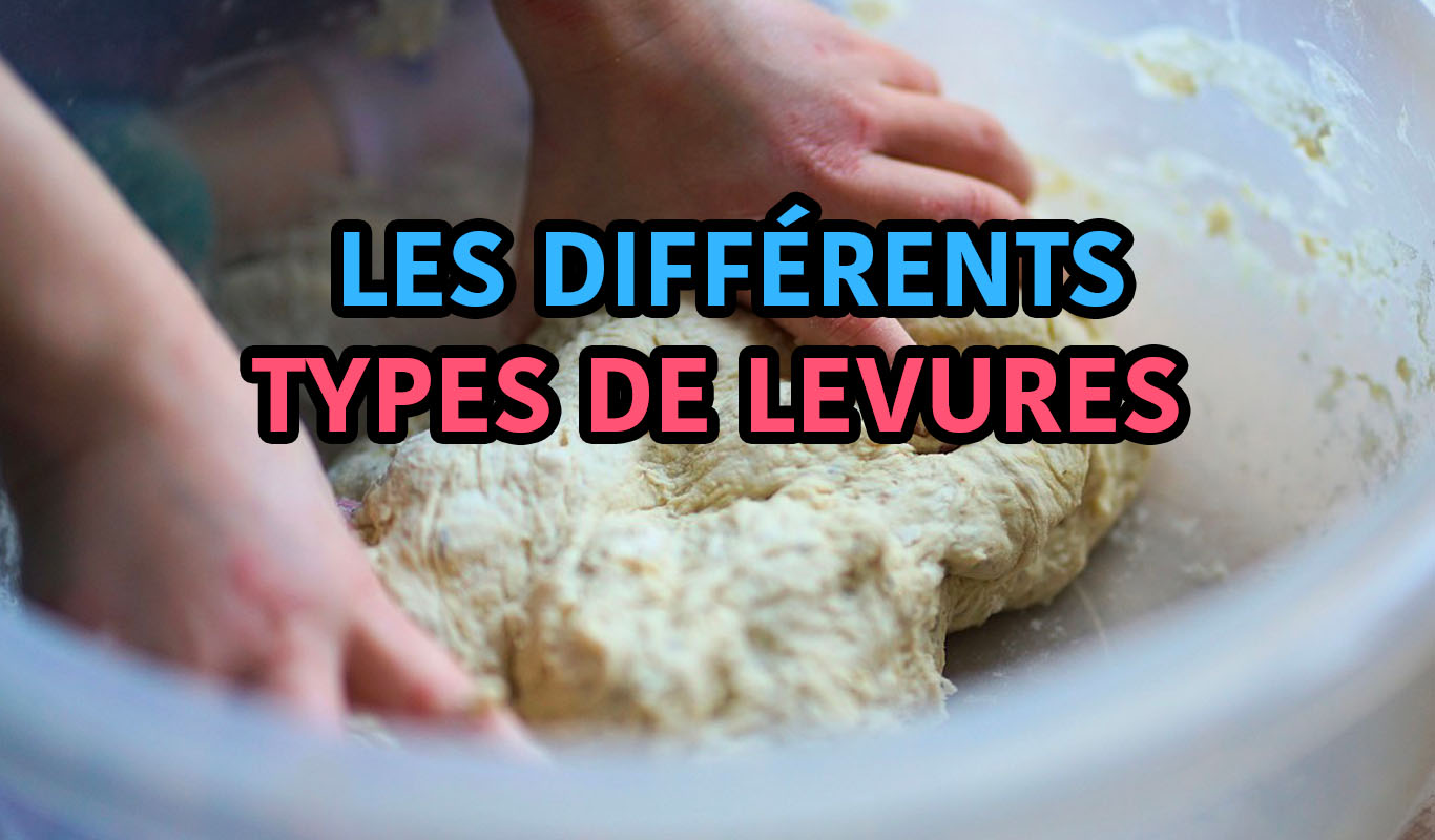 Les différents types de levures chimique, fraîche et sèche