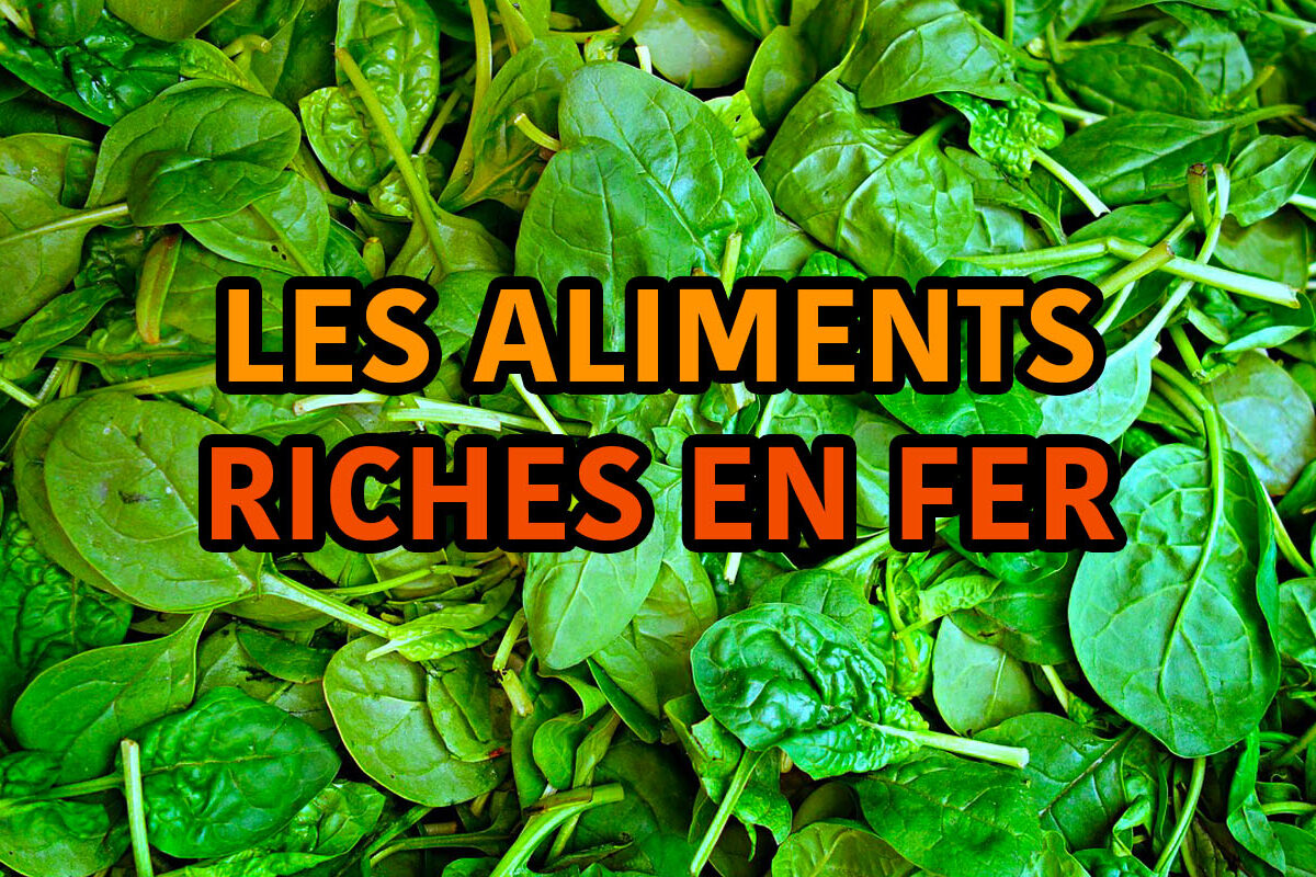 les aliments riches en fer