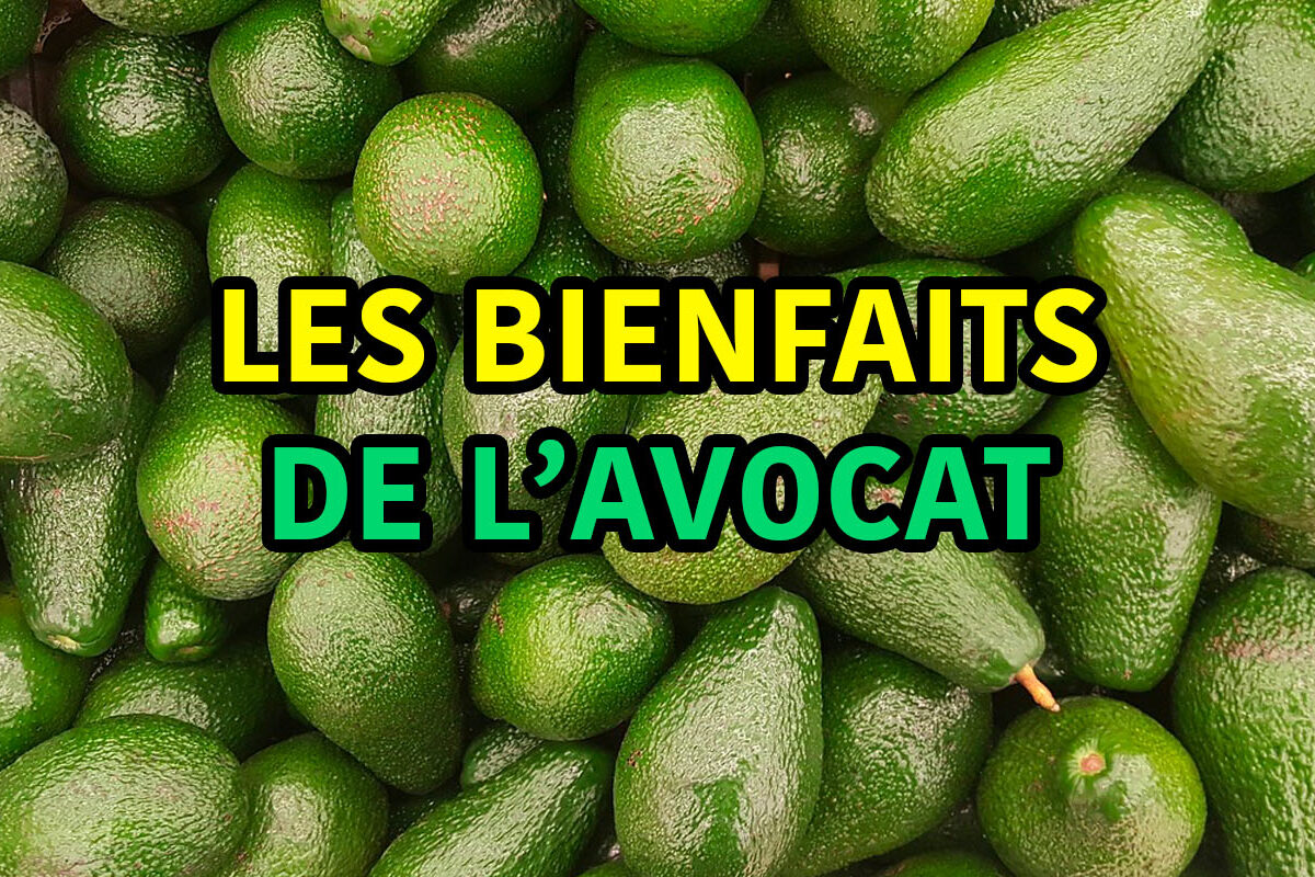 les bienfaits de l'avocat