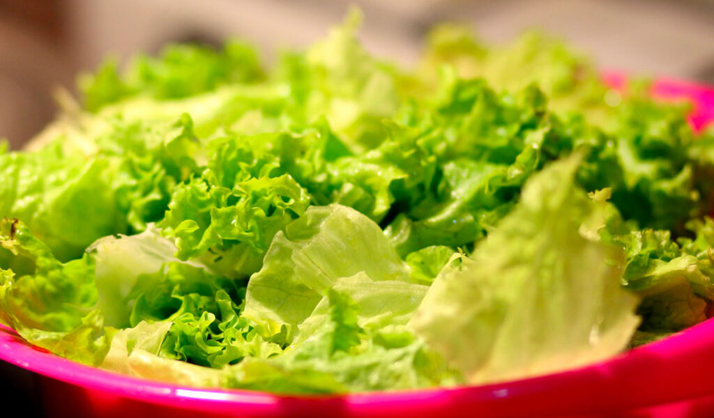 manger de la salade pour perdre du poids rapidement