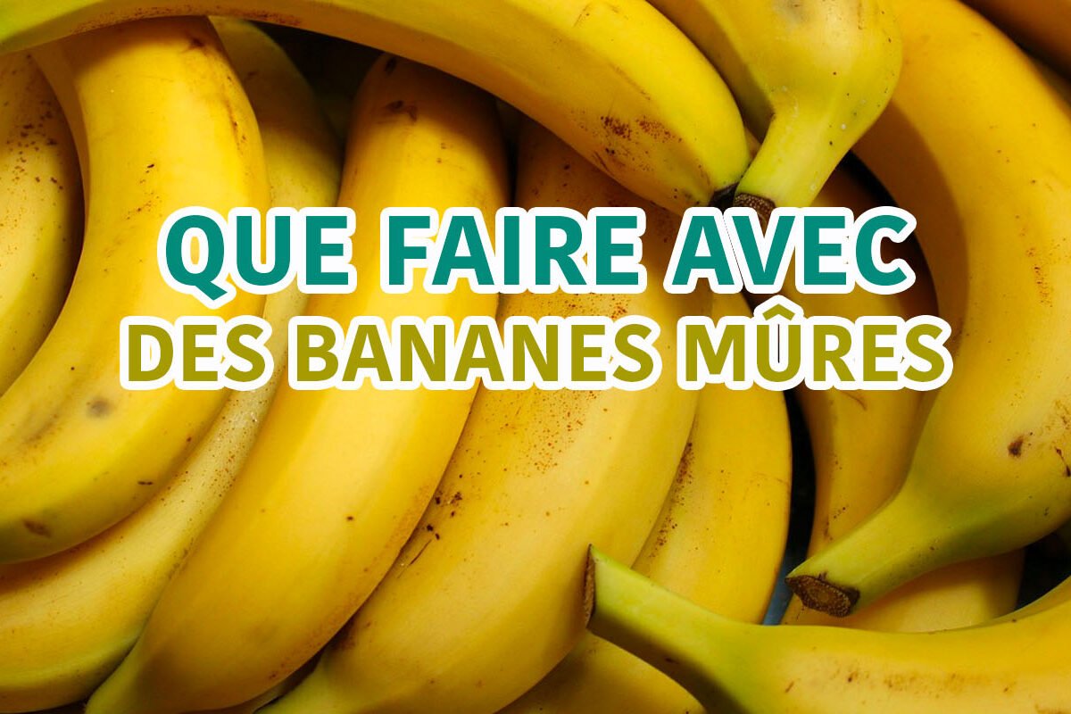 que faire avec des bananes mûres
