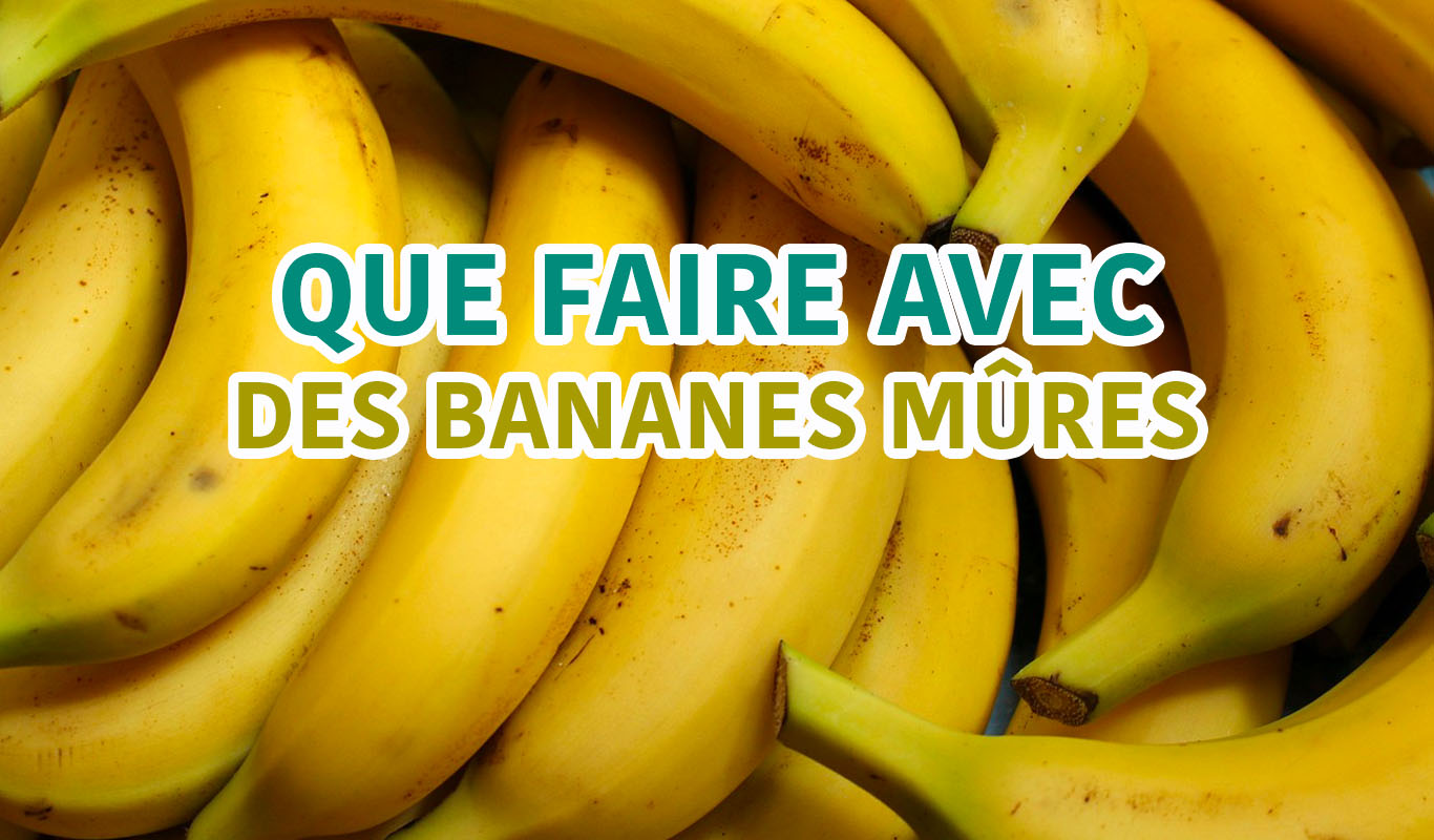 Que Faire Avec Des Bananes Trop Mûres ? Idées De Recettes