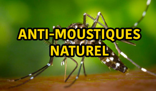 anti moustique naturel