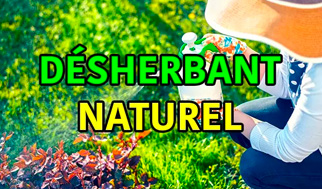 desherbant naturel