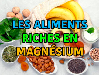 les aliments riches en magnésium