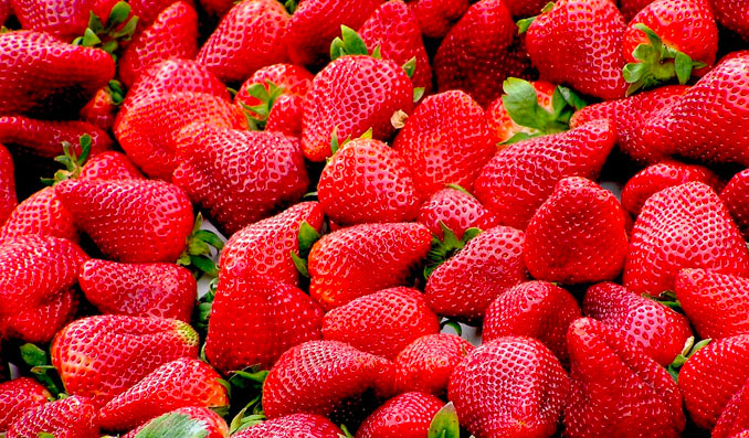 les fraises un aliment qui tache