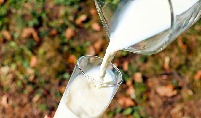 produits laitiers enrichis en vitamine D