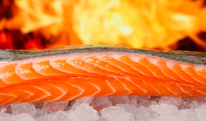 saumon un des aliments le plus riches en vitamine D