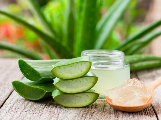 aloe vera beauté