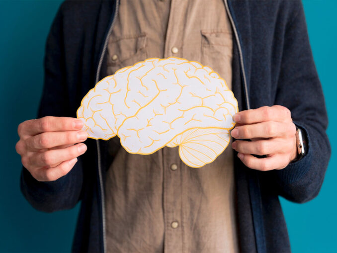 habitudes protègent cerveau