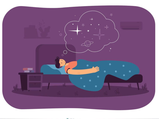 phases du sommeil