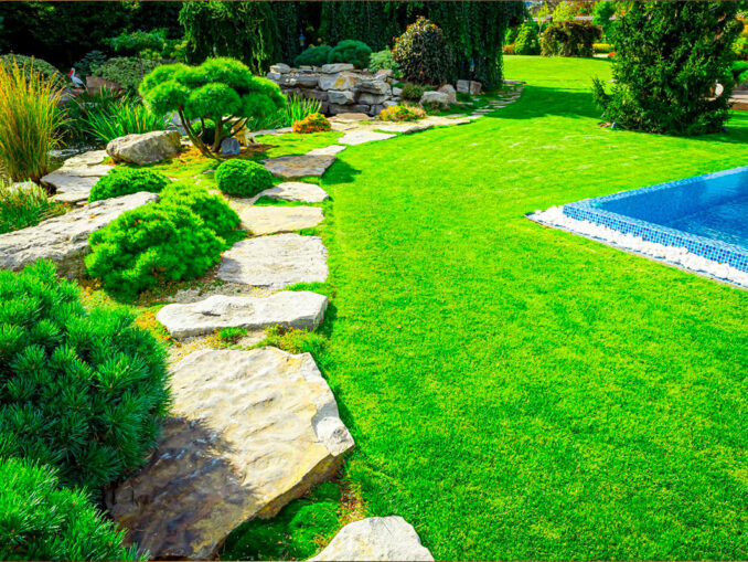 planter comme un pro