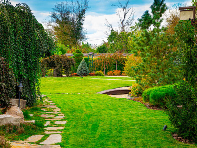 repousser les nuisibles du jardin