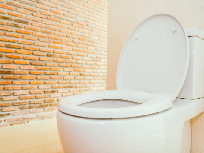 toilettes qui brillent