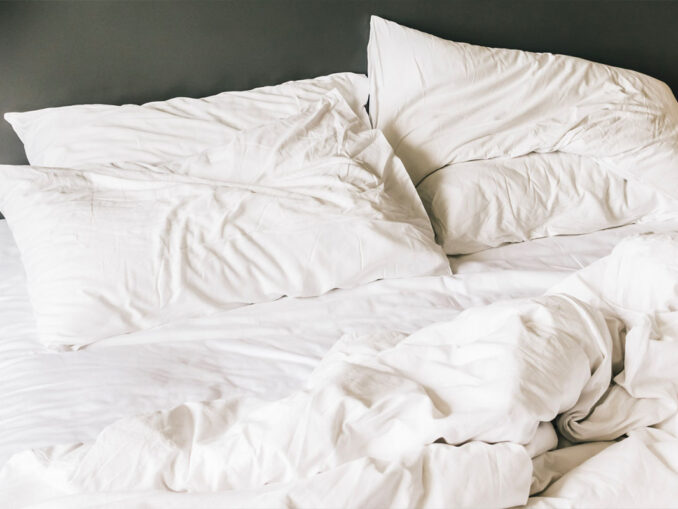 punaises de lit